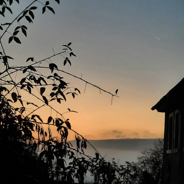 Winter im Maison Fasson - Das Gruppenhaus und die Ferienwohnungen. ❄❄❄
Draußen ist es kalt, der Raureif der Nacht ist gefroren und glitzert im ersten Licht der morgendlichen Sonne. Nebel liegen in den Tälern, leuchten in hellem Grau und erscheinen wie ein großer See zu Füßen des Berges. 🌄❄🌄
Das Maison Fasson im Dorf Ruppertsecken liegt auf 500m Höhe und überragt die umgebende Landschaft, nur der Donnersberg in greifbarer Nähe ist noch ein wenig Höher. 🌞🌞🌞
Bald steigt die Sonne in ihrem Tageslauf und das magische Glitzern wird wieder verschwinden, doch der herrliche Blick ins Umland bei strahlendem Sonnenschein bleibt bestehen. ⛄❄⛄
Thomas und Dorit wünschen Euch noch einen schönen zweiten Weihnachtstag. Wir sehen uns bald im Maison Fasson. 💜💜💜
.
.
.
.
#gruppenhaus #ferienwohnung #donnersberg #ruppertsecken #donnersbergkreis #vacation #travel #pfalz #wandern #renovieren #vintage #oldhouse #upcycling #nordpfalz #ferienwohnung #fewo #pfälzerhöhenweg #selbstversorgerhaus #licht #weihnachten #silvester #sonnenaufgang #morgennebel