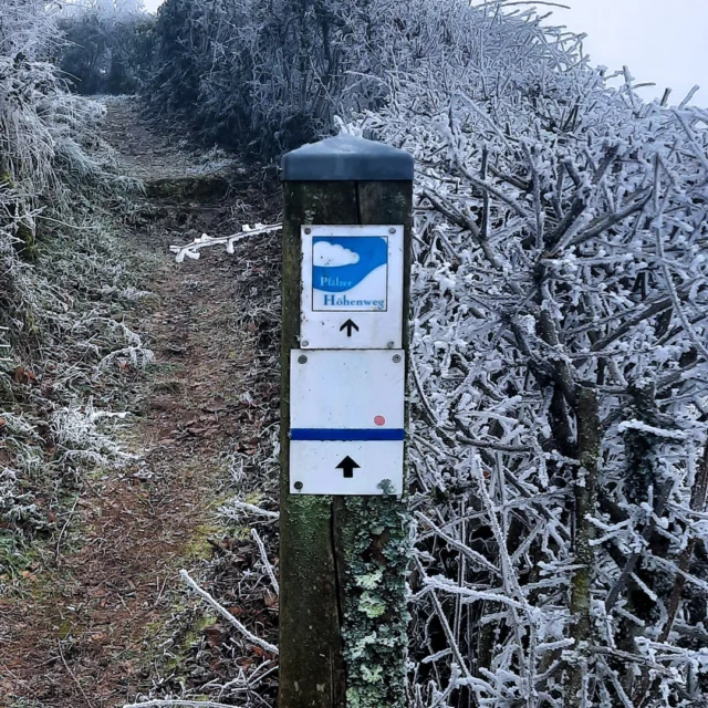 Das Neue Jahr hat Begonnen im Maison Fasson. 🍀🍀🍀
Der Neujahrstag ist die Gelegenheit für einen Spaziergang oder eine kleine Wanderung rund um das Maison Fasson. Wie gut, dass das Maison Fasson am Pfälzer Höhenweg, einem Wanderweg von Winnweiler nach Wolfstein in der Pfalz, liegt. Die ganze Etappe muss es an diesem Tag nicht werden, doch ein kleines Stück -vielleicht auf den nahegelegenen Donnersberg- kann man schon wagen. 🥾🚶🥾
Gut beschildert ist die Strecke und gut zu laufen ist sie auch. Das Teilstück der Strecke führt über den Schlossberg in Ruppertsecken und von dort aus hat man wunderschöne Ausblicke in die umliegende Landschaft. 🩵💙🩵
Thomas und Dorit wünschen Euch -geneigte Leser- ein frohes Neues Jahr, viel Glück und Gesundheit und wir sehen uns im Maison Fasson. ❤🐞❤
.
.
.
.
#gruppenhaus #ferienwohnung #donnersberg #ruppertsecken #donnersbergkreis #vacation #travel #pfalz #wandern #renovieren #vintage #oldhouse #upcycling #nordpfalz #ferienwohnung #fewo #pfälzerhöhenweg #selbstversorgerhaus
#licht #winter #schnee #silvester #schnee #neujahr