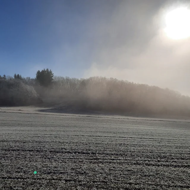 Die Umgebung des Maison Fasson ist gerade im Winter magisch. ❄⛄❄
Klirrend Kalt und Sonnenschein so steigt der Nebel aus den Tälern und hinterlässt seine weißen Spuren auf den Feldern und Wäldern. 🌳❄🌳
Kristalle bilden sich an Ästen und Blättern, die von der klaren Wintersonne angestrahlt zauberhaft glitzern. ❄☀❄
Jetzt ist die Zeit für Spaziergänge um das Dorf und in die Umgebung. 
Die Tage werden länger und noch hält der Winter die Natur in seinen kalten Händen. Ruhe und Entspannung ist nun gegeben und Euer Maison Fasson bietet alles für eine behagliche Auszeit von der Hektik des Alltages. ☕🔥☕
.
.
.
.
.
#gruppenhaus #ferienwohnung #donnersberg #ruppertsecken #donnersbergkreis #vacation #travel #pfalz #wandern #renovieren #vintage #oldhouse #upcycling #nordpfalz #ferienwohnung #fewo #pfälzerhöhenweg #selbstversorgerhaus
#licht #winter  #schnee #nebel #winterwunderland #winterwonderland #sunset