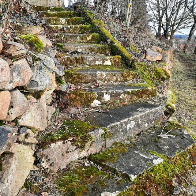 Alle Wege führen nach Oben. 🌞🌄🌞
Das Maison Fasson liegt mitten im Dorf auf einem Berg direkt gegenüber des Donnersbergs. Einige Meter geht es noch auf den Schlossberg hinauf, der Weg ist nicht steil, doch gibt es im Dorf einige Abkürzungen über Treppen im Dorf. 
Einige der Treppen zeigen wir Euch heute. 🎠⛲️⛱
.
.
.
.
#gruppenhaus #ferienwohnung #donnersberg #ruppertsecken #donnersbergkreis #vacation #travel #pfalz #wandern #renovieren #vintage #oldhouse #upcycling #nordpfalz #ferienwohnung #fewo #pfälzerhöhenweg #selbstversorgerhaus
#licht #treppen #bergliebe ##donnersbergtouristik