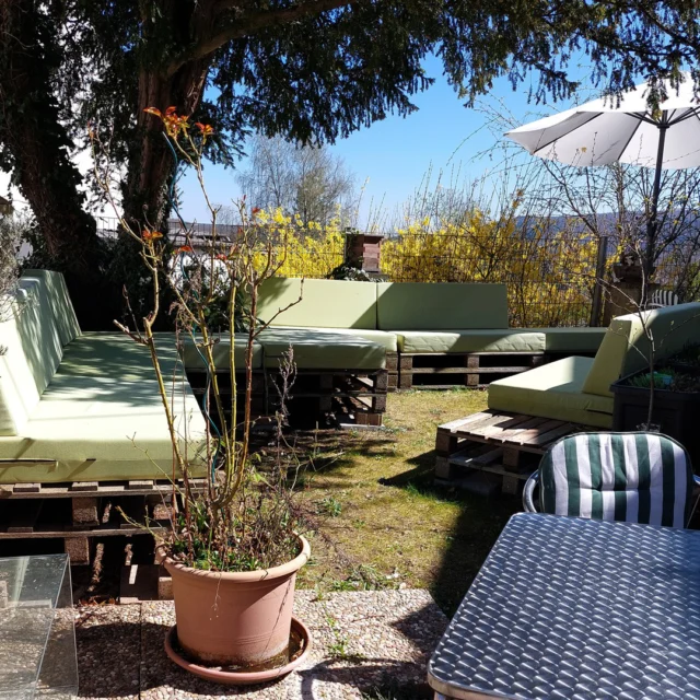 Sommer im Maison Fasson 🌻🌞🌻

Die Lounge ist unser Lieblingsort – wo der Sommer nach Freiheit schmeckt, die Blumen duften und die Sonne unser Herz erwärmt. 🌸🌷🌸

Hier zählt nur der Moment: Freunde um dich, ein kaltes Getränk in der Hand und das Gefühl von Urlaub – so muss es sein im Maison Fasson. 🍹🍷🍹

Lehn dich zurück. Lass los. Genieß den Tag.
Denn genau solche Augenblicke bleiben für immer. 🌻🌞🌻

Eure Thomas und Dorit 🪻🪻🪻
.
.
.
.
#MaisonFasson #Frühlingsgefühle #Sonnenmoment #LandlebenGenießen #Frühlingserwachen #gruppenhaus #ferienwohnung #donnersberg #ruppertsecken #donnersbergkreis #vacation #travel #pfalz #wandern #renovieren #vintage #oldhouse #upcycling #nordpfalz #ferienwohnung #fewo #pfälzerhöhenweg #selbstversorgerhaus #donnersberger_land #sonnenschein #MaisonFasson #Morgenstimmung #Sonnenaufgang #Gartenidylle #ErholungPur