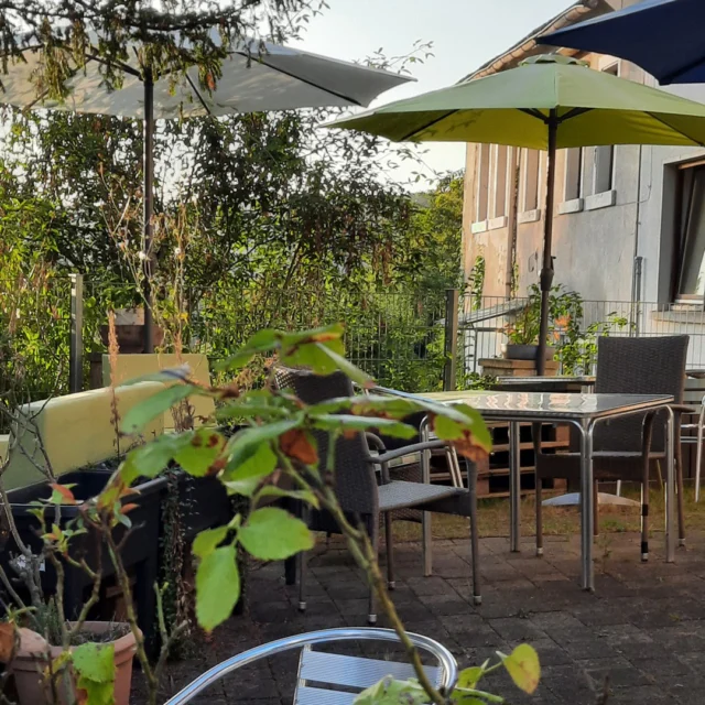Morgenstimmung im Maison Fasson. 🌞🌻🌞

Die ersten Sonnenstrahlen tauchen den Garten in warmes Licht, während der Duft von frischem Kaffee durch die klare Morgenluft zieht. Die Sonnenschirme sind schon geöffnet und begrüßen die aufgehende Sonne, der Tag erwacht langsam – und mit ihm die Vorfreude auf einen schönen Tag im Maison Fasson. 🌸🌷🌸

Eine erholsame Nacht liegt hinter uns, ein wunderschöner Tag vor uns. Genau hier, genau jetzt, genießen wir das Leben und die magischen Tage im Maison Fasson. 🌷🎪🌷

Eure Thomas und Dorit 
vom Maison Fasson 🪻🪻🪻
.
.
.
.
#MaisonFasson #Frühlingsgefühle #Sonnenmoment #LandlebenGenießen #Frühlingserwachen #gruppenhaus #ferienwohnung #donnersberg #ruppertsecken #donnersbergkreis #vacation #travel #pfalz #wandern #renovieren #vintage #oldhouse #upcycling #nordpfalz #ferienwohnung #fewo #pfälzerhöhenweg #selbstversorgerhaus #donnersberger_land #sonnenschein #MaisonFasson #Morgenstimmung #Sonnenaufgang #Gartenidylle #ErholungPur