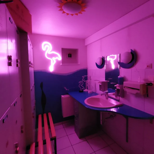 Pink Flamingo im Maison Fasson 🦩🦩🦩

Im Maison Fasson gibt es noch einen Umkleideraum. Eine große Anzahl von Spinden stehen dort und können bei Bedarf genutzt werden. 
Dorit hat dort einen Pink Flamingo montiert und der leuchtet den Raum jetzt an.... natürlich in Pink! 🌸🌷🌸

Kommt vorbei und schaut Euch den Pink Flamingo live an.
Wir freuen uns auf Euch 🪻🪻🪻
Eure Thomas und Dorit vom Maison Fasson
.
.
.
.
#MaisonFasson #Frühlingsgefühle #Sonnenmoment #LandlebenGenießen #Frühlingserwachen #gruppenhaus #ferienwohnung #donnersberg #ruppertsecken #donnersbergkreis #vacation #travel #pfalz #wandern #renovieren #vintage #oldhouse #upcycling #nordpfalz #ferienwohnung #fewo #pfälzerhöhenweg #selbstversorgerhaus #donnersberger_land #sonnenschein #flamingo