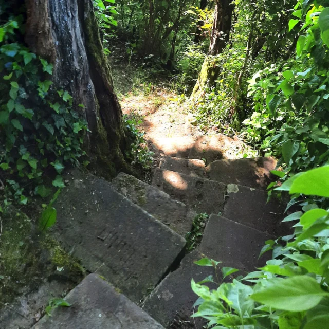 Treppauf - Treppab im Maison Fasson 🌳🌿🌳

Einatmen. Ausatmen. Schritte hallen auf altem Stein.
Im Herzen unseres kleinen Dorfes, auf dem Schlossberg gegenüber dem mächtigen Donnersberg, liegt das Maison Fasson – eingebettet in ein verwunschenes Stück Natur. 🌸🌿🌸

Wer uns besucht, entdeckt schnell: Hier führen viele Wege nach oben. Einige ganz gemütlich, andere versteckt – über schmale Treppen, die sich zwischen alten Mauern, Hecken und blühenden Gärten hinaufwinden. 🌺🌳🌸

Heute nehmen wir Euch mit auf einen Spaziergang – treppauf, treppab. Zwischen Schatten spendenden Bäumen, wildem Wein an den Zäunen, Lavendelduft in der Luft und Sonnenstrahlen, die durch das Grün tanzen. 🌞🍃🌞

Wir freuen uns auf Euch 🪻🪻🪻
Eure Thomas und Dorit
.
.
.
.
#gruppenhaus #ferienwohnung #donnersberg #ruppertsecken #donnersbergkreis #vacation #travel #pfalz #wandern #renovieren #vintage #oldhouse #upcycling #nordpfalz #ferienwohnung #fewo #pfälzerhöhenweg #selbstversorgerhaus
#licht #treppen #bergliebe ##donnersbergtouristikverband #donnersbergtouristik