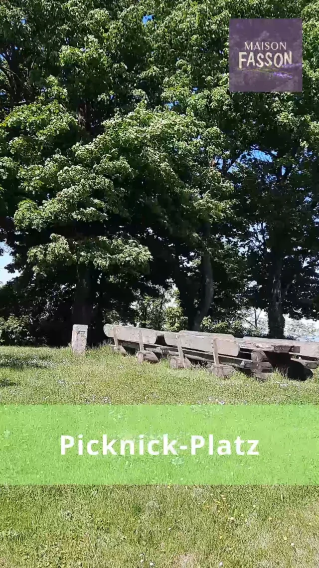 🌻✨🌻Komm mit zum Picknick...