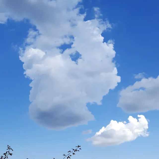 Maison Fasson – wo die Zeit langsamer vergeht und die Seele aufatmet. 🌸🍀🌸

Hier, unter weitem Himmel und zwischen sanften Sonnenstrahlen, erleben wir Momente, die bleiben.
Ein Ort, der mehr ist als nur ein Haus – es ist ein Zuhause auf Zeit. Voller Wärme, voller Geschichten. ✨☕✨
Unser liebevoll restauriertes Vintage-Gruppenhaus vereint das Beste aus früher und heute: echter Charme, echtes Leben, echte Begegnungen. 🌱🌿🌳

Ob beim Frühstück im Garten, beim gemeinsamen Kochen, beim Lachen mit Freunden oder beim Faulenzen in der Nachmittagssonne – Maison Fasson ist ein Ort, an dem man nichts muss, aber alles darf. 🌿☀️🌿
Ein Ort, an dem Familie und Freundschaft zusammenfinden, wo Erinnerungen wachsen und das Herz leicht wird.

🌿☀️ Urlaub, wie er sein soll: entspannt, voller Wärme, mit ganz viel Gefühl.

📸 Und manchmal reicht ein Blick in den Himmel, um zu wissen: Hier bin ich genau richtig.
Wir freuen uns auf Euch Thomas und Dorit 🪻✨🪻
.
.
.
.
#MaisonFasson #Frühlingsgefühle #Sonnenmoment #LandlebenGenießen #Frühlingserwachen #gruppenhaus #ferienwohnung #donnersberg #ruppertsecken #donnersbergkreis #vacation #travel #pfalz #wandern #renovieren #vintage #oldhouse #upcycling #nordpfalz #ferienwohnung #fewo #pfälzerhöhenweg #selbstversorgerhaus #donnersberger_land #VintageVibes
 #Sommerzeit #Wohlfühlen #VintageVibes