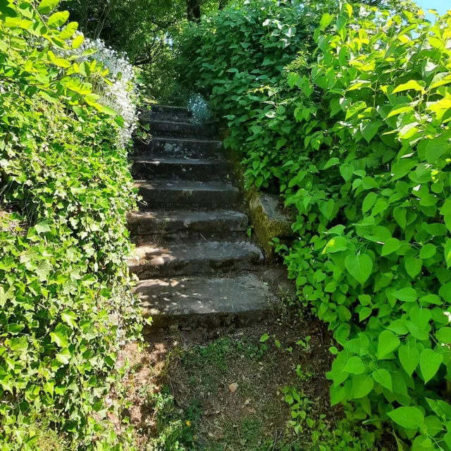 Geheime Wege im Maison Fasson.
Treppauf. Treppab. Mitten im Grünen. 🌸🌿🌸

Willkommen im Maison Fasson – wo alte Mauern flüstern, Lavendel duftet und die Natur Regie führt.

Versteckte Treppen winden sich durchs Grün, vorbei an blühenden Gärten, wildem Wein und stillen Winkeln voller Magie. 🌳✨🌺

Ein Ort zum Durchatmen, Staunen, Spazieren.
Schritt für Schritt. Treppauf. Treppab.
Eure Thomas und Dorit 🪻✨🪻
.
.
.
.
#gruppenhaus #ferienwohnung #donnersberg #ruppertsecken #donnersbergkreis #vacation #travel #pfalz #wandern #renovieren #vintage #oldhouse #upcycling #nordpfalz #ferienwohnung #fewo #pfälzerhöhenweg #selbstversorgerhaus
#licht #treppen #bergliebe #donnersbergtouristikverband #donnersbergtouristik