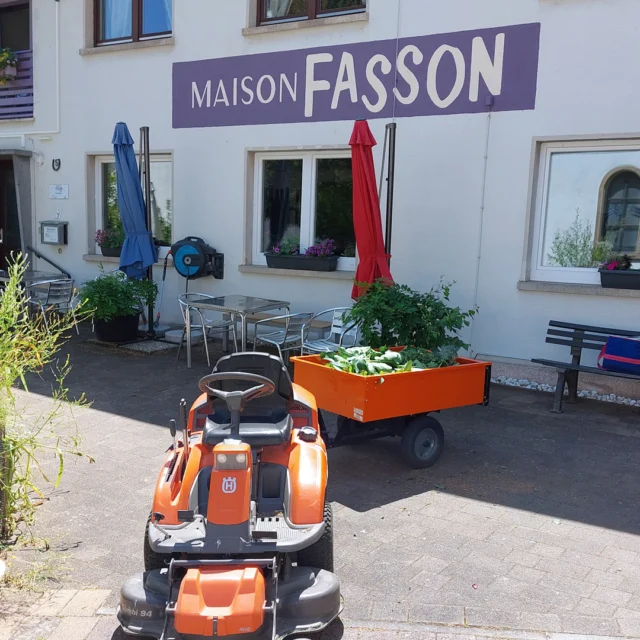 Sommerzeit im Maison Fasson 🌿🌞🌿 

Thomas und Dorit sorgen liebevoll für unsere Pflanzen und den farbenfrohen Blütenflor – und unsere Gäste genießen die blühende Pracht in vollen Zügen. 💐🪴

Ob in Pflanzkästen, großen Töpfen oder direkt aus dem Garten: überall wächst und gedeiht es! 🌱 Mit dem Rasentraktor und Anhänger wird fleißig transportiert – ob Grünschnitt, Erde oder die frisch bepflanzten Blumentöpfe 🚜🧑‍🌾

Maison Fasson ist ein Ort zum Ankommen, zum Durchatmen – ein Gruppenhaus für Familie und Freunde, in dem Urlaub zu einem echten Erlebnis wird. 🏡💚

Hier verbinden sich Natur, Gemeinschaft und Sommerfreude zu unvergesslichen Momenten. 🌺

Ob kurze Auszeit oder lange Ferien – bei uns ist der Sommer nicht nur eine Jahreszeit, sondern ein Gefühl. 🌸🌴🌸
.
.
.
.
#MaisonFasson #Sommerurlaub #Sommergefühle #MaisonFasson #Frühlingsgefühle #Sonnenmoment #LandlebenGenießen #Frühlingserwachen #gruppenhaus #ferienwohnung #donnersberg #ruppertsecken #donnersbergkreis #vacation #travel #pfalz #wandern #renovieren #vintage #oldhouse #upcycling #nordpfalz #ferienwohnung #fewo #pfälzerhöhenweg #selbstversorgerhaus #donnersberger_land #VintageVibes #Sommerzeit #husquarna