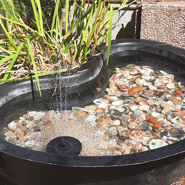 🌞 Sommerzeit im Maison Fasson – 
das ist mehr als nur Urlaub. Es ist das Gefühl von Freiheit, Leichtigkeit und echter Verbundenheit.

Hier plätschert das Wasser im Garten leise vor sich hin, Muscheln erzählen Geschichten vom Meer, und die Sonne streichelt die Haut – während man einfach mal durchatmen kann. 🐚🌊🐚

Ob mit der ganzen Familie, mit lieben Freunden oder in einer bunten Gruppe voller Lebensfreude – unser Gruppenhaus bietet Raum für all das, was im Alltag oft zu kurz kommt: gemeinsames Lachen, gutes Essen, lange Gespräche unter freiem Himmel und das süße Nichtstun. 🪴🌺🌴

🏡 Maison Fasson ist ein Ort, an dem die Zeit langsamer tickt.
Ein Ort, an dem aus einem einfachen Sommertag ein unvergesslicher Moment wird.

🍃 Komm vorbei, lass die Seele baumeln und genieße das Leben – unter der Sonne, im Schatten der Palmen, mit den Menschen, die dir am Herzen liegen.

Wir freuen uns auf Euch
Thomas und Dorit vom Maison Fasson ✨🪻✨
.
.
.
.
#MaisonFasson  #Sommerurlaub #Sommergefühle #GemeinsamZeitVerbringen #ErinnerungenSchaffen .#MaisonFasson #Frühlingsgefühle #Sonnenmoment #LandlebenGenießen #Frühlingserwachen #gruppenhaus #ferienwohnung #donnersberg #ruppertsecken #donnersbergkreis #vacation #travel #pfalz #wandern #renovieren #vintage #oldhouse #upcycling #nordpfalz #ferienwohnung #fewo #pfälzerhöhenweg #selbstversorgerhaus #donnersberger_land #VintageVibes #Sommerzeit
