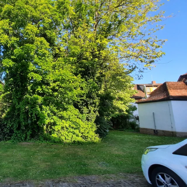 Ein Garten im Maison Fasson
Willkommen im Garten hinter dem neuen Parkplatz! 🌿🚙🌿

In den letzten Tagen haben wir euch unseren neuen Parkplatz vorgestellt – jetzt zeigen wir euch, was direkt dahinter auf euch wartet: ein grünes Paradies für unsere Gäste. 💚🌿💚

Unter den alten, schattenspendenden Bäumen, direkt neben der Kirche, steht unser großes Zelt – bereit für schöne Sommerstunden mit Familie und Freunden. 🍃☀️🍃

Ob zum Grillen, Lachen, Feiern oder einfach zum Innehalten: Hier ist Raum für Gemeinschaft, Geselligkeit und unvergessliche Momente. 🔥🍴💬

Kommt vorbei, genießt die Ruhe – und macht diesen Ort gemeinsam mit uns lebendig. 🌸✨🌸

Wie freuen uns auf Euch
Thomas und Dorit vom Maison Fasson ✨🪻✨
.
.
.
.

#MaisonFasson #Sommerurlaub #Sommergefühle #gruppenhaus #ferienwohnung #donnersberg #ruppertsecken #donnersbergkreis #vacation #travel #pfalz #wandern #renovieren #vintage #oldhouse #upcycling #nordpfalz #ferienwohnung #fewo #pfälzerhöhenweg #selbstversorgerhaus #donnersberger_land #VintageVibes #Sommerzeit #Gartenmoment