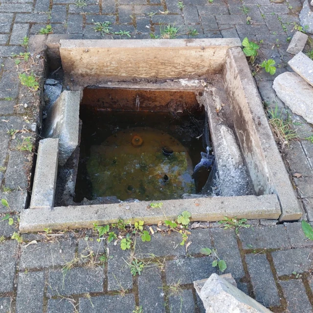 Geheimnisse im Maison Fasson
🔍 Was steckt wohl unter diesem geheimnisvollen Loch?

Zwischen Pflastersteinen und Unkraut tauchte plötzlich diese versteckte Öffnung auf unserem Parkplatz auf. Jahrzehntelang lag hier etwas, das heute kaum noch jemand kennt... 🚗🚕🚙

💡 Kleiner Tipp:
Was früher unterirdisch gespeichert wurde, wird heute kaum noch gebraucht. Dieser stillgelegte Riese wurde viele Jahre vergessen – bis jetzt!

🛠️ Bald wird er vollständig entfernt – und an seiner Stelle entsteht etwas Neues für unsere Gäste.
Mehr Platz, mehr Komfort, weniger Geheimnisse! 😉

❓ Weißt du, was das war? Schreib deine Vermutung in die Kommentare! 👇

Wir sind gespannt, Thomas und Dorit 😀🪻✨
.
.
.
.
#gruppenhaus #ferienwohnung #donnersberg #ruppertsecken #donnersbergkreis #vacation #travel #pfalz #wandern #renovieren #vintage #oldhouse #upcycling #nordpfalz #ferienwohnung #fewo #pfälzerhöhenweg #selbstversorgerhaus #donnersberger_land #VintageVibes #Sommerzeit #husquarna
#RätselDesTages #ParkplatzUpdate #WasIstDas #AlteGeheimnisse