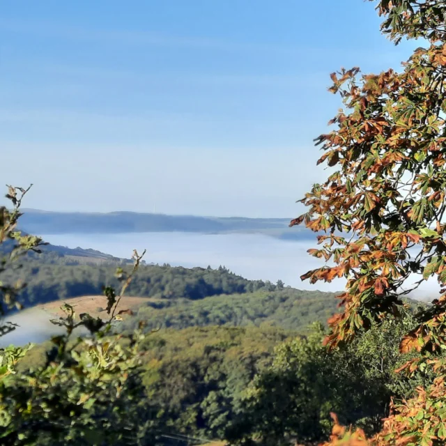 🌫️✨ Goldener Herbst in der Nordpfalz…
Vor dem höchsten Punkt Ruppertseckens breitet sich das Nordpfälzer Bergland aus: Nebel liegt sanft in den Tälern, darüber leuchtet die Sonne und taucht die Landschaft in goldenes Licht. Ein Anblick, der Ruhe schenkt – und den man nie vergisst. 🍂🌄

Genau dieses Gefühl wollten wir auch in unserem Buffetraum im Maison Fasson einfangen: Wärme, Farben der Natur, das Zusammenspiel von Grün und Rot, wie im Herbst draußen vor der Tür. 🌿🍷

So verbindet sich draußen mit drinnen – Natur mit Gastlichkeit. Wenn ihr das Maison Fasson besucht, beginnt euer Tag vielleicht mit diesem Ausblick und endet mit einem genussvollen Essen im Buffetraum. Beides schenkt dasselbe Gefühl: Ankommen, durchatmen, genießen. 🏡❤️
.
.
.
.
#MaisonFasson #gruppenhaus #ferienwohnung #donnersberg #ruppertsecken #donnersbergkreis #vacation #travel #pfalz #wandern #renovieren #vintage #upcycling #nordpfalz #ferienwohnung #fewo #pfälzerhöhenweg #selbstversorgerhaus #donnersbergtouristikverband #donnersbergtouristik #donnersberger_land #pfalzliebe
#NordpfalzEntdecken #Buffetraum #Herbstzauber #Familienurlaub #Freundeszeit #FerienhausNordpfalz #GemeinsamGenießen