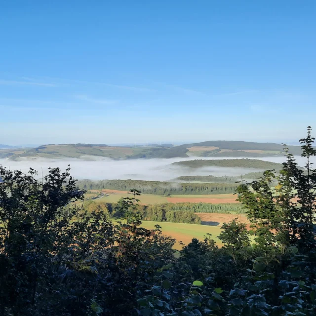 🌤️🍁 Goldene Stunden über der Nordpfalz…
Der Blick schweift weit über die Hügel – Wälder, bunte Felder und weiche Nebelschleier in den Tälern. Darüber die Sonne, die alles in goldenes Licht taucht. ✨ So zeigt sich der Herbst rund um Ruppertsecken von seiner schönsten Seite.

Wer hier wandert, spürt sofort diese besondere Ruhe, die Wärme des Lichts, den Duft der Erde. 🍃 Ein Moment, der bleibt – egal, ob ihr als Paar unterwegs seid, mit Freunden oder der ganzen Familie.

Und wenn ihr am Abend im Maison Fasson zurückkehrt, wartet dort genau das, was so gut zu diesem Gefühl passt: ein gemütliches Zuhause auf Zeit, gutes Essen, Gemeinschaft – und die Erinnerung an einen Tag voller Natur und Entdeckungen. 🏡💛
.
.
.
.
#MaisonFasson #NordpfalzEntdecken #Herbstzauber #Donnersberg #Pilzwanderung #NaturErleben #Familienurlaub #Freundeszeit #FerienhausNordpfalz #GoldenerHerbst #gruppenhaus #ferienwohnung #donnersberg #ruppertsecken #donnersbergkreis #vacation #travel #pfalz #wandern #vintage #nordpfalz #ferienwohnung #fewo #pfälzerhöhenweg #selbstversorgerhaus #donnersbergtouristikverband #donnersbergtouristik #donnersberger_land #pfalzliebe