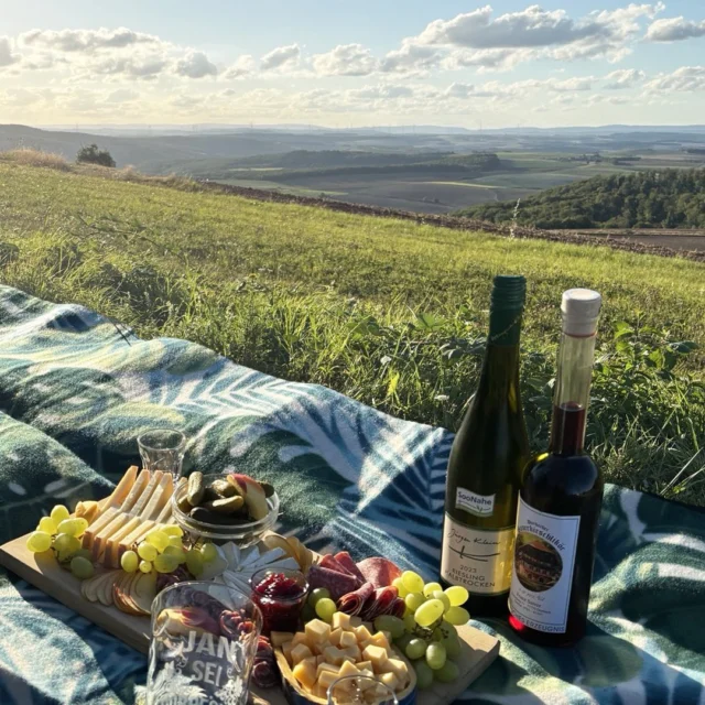 🌄🍇 Sommerabend über dem Nordpfälzer Land
Die Sonne sinkt langsam hinter die Hügel, das Licht wird golden – Zeit für einen Moment nur für sich. ✨
Auf einer Picknickdecke liegen Käse, frisches Obst und eine Flasche Pfälzer Wein. Ein Paar sitzt beieinander, die Wanderstiefel stehen beiseite. Nach einem erfüllten Tag im Maison Fasson und einem Abend, an dem die Familie zur Ruhe gekommen ist, genießen sie die Stille der Nordpfalz.

Vor ihnen breitet sich das Land in sanften Wellen aus – Hügel, Täler, goldene Felder im letzten Sonnenlicht. 🍷🌾
Hier, in diesem Augenblick, zählt nichts weiter als das Jetzt.
.
.
.
.
#MaisonFasson #Sommererinnerung #Abendstimmung #Pfalzliebe #NordpfalzEntdecken #FerienhausNordpfalz #MaisonFassonMomente #Picknickglück #WeinUndWandern #Sommerglück #gruppenhaus #ferienwohnung #donnersberg #ruppertsecken #donnersbergkreis #vacation #travel #pfalz #wandern #vintage #nordpfalz #ferienwohnung #fewo #pfälzerhöhenweg #selbstversorgerhaus #donnersbergtouristikverband #donnersbergtouristik #donnersberger_land