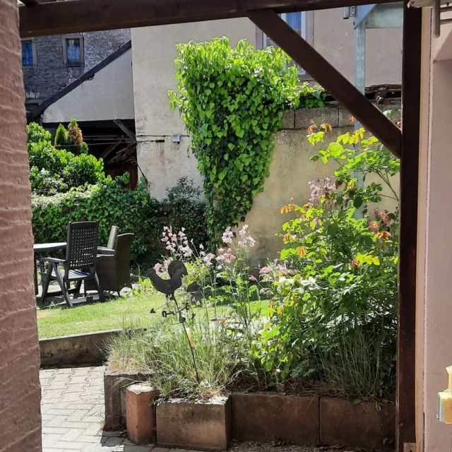 🌸🌿 Sommerabend zwischen alten Mauern
Im Garten hinter dem Maison Fasson liegt dieser kleine Sitzplatz – verborgen zwischen Bäumen, Blumen und alten Steinmauern. Die Luft duftet nach Sommer, Grillen zirpen, das Licht wird weich. 🌅💛

Hier sitzen Freunde zusammen, erzählen Geschichten vom Tag, lachen – ein Glas Wein in der Hand, während die Kinder über den Rasen toben. 🍷🌻
Es ist dieser einfache, ehrliche Sommermoment, der bleibt: gemeinsam sein, draußen, zufrieden.

Im Maison Fasson entstehen genau solche Erinnerungen – leise, lebendig und voller Wärme. 🏡✨
.
.
.
.
#MaisonFasson #Sommerabend #Sommererinnerung #Gartenliebe #FerienhausNordpfalz #MaisonFassonMomente #NordpfalzEntdecken #Pfalzliebe #GemeinsamGenießen #Abendstimmung #gruppenhaus #ferienwohnung #donnersberg #ruppertsecken #donnersbergkreis #travel #pfalz #wandern #vintage #nordpfalz #ferienwohnung #fewo #pfälzerhöhenweg #selbstversorgerhaus #donnersbergtouristikverband #donnersbergtouristik #donnersberger_land