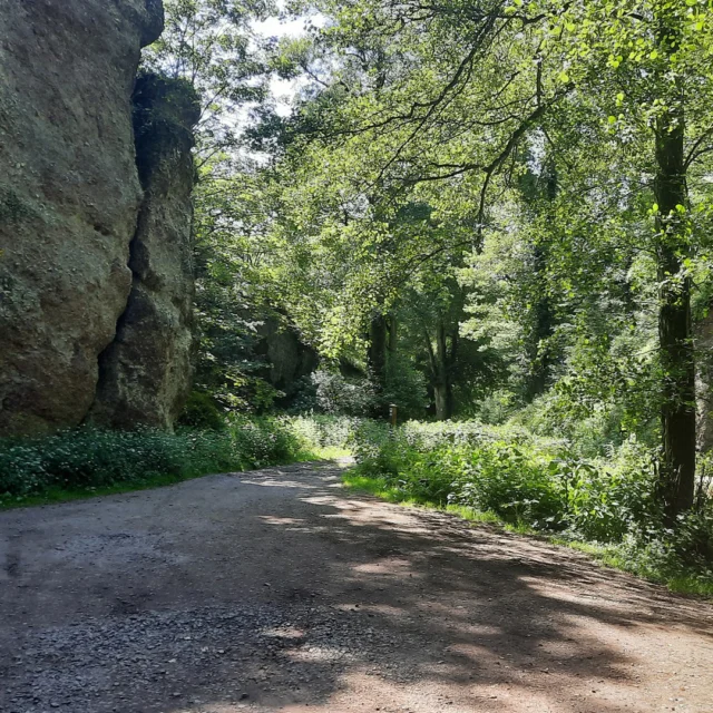 🌿💦 Sommerpfade durchs Falkensteiner Tal
Nur wenige Kilometer vom Maison Fasson entfernt liegt das Falkensteinertal – ein stilles, fast verwunschenes Tal zwischen hohen Felsen und schattigen Wegen. 🌄✨
Ein Bächlein plätschert leise durch die Landschaft, die Luft ist kühl und klar. Wer genau hinschaut, entdeckt Spuren vergangener Zeiten, wie die Reste einer alten Eremitage zwischen den Felsen.
Ein Ort für kleine Abenteuer, für Ruhe und Staunen. 💚
Und danach? Zurück ins Maison Fasson – vielleicht mit einem Glas Wein im Garten und den Gedanken noch ein bisschen im Tal. 🍷🏡
.
.
.
.
#MaisonFasson #Falkensteinertal #NordpfalzEntdecken #Sommererinnerung #WandernUndGenießen #FerienhausNordpfalz #NaturPur #MaisonFassonMomente #Sommerglück #Pfalzliebe #gruppenhaus #ferienwohnung #donnersberg #ruppertsecken #donnersbergkreis #vacation #travel #pfalz #wandern #vintage #nordpfalz #ferienwohnung #fewo #pfälzerhöhenweg #selbstversorgerhaus #donnersbergtouristikverband #donnersbergtouristik #donnersberger_land