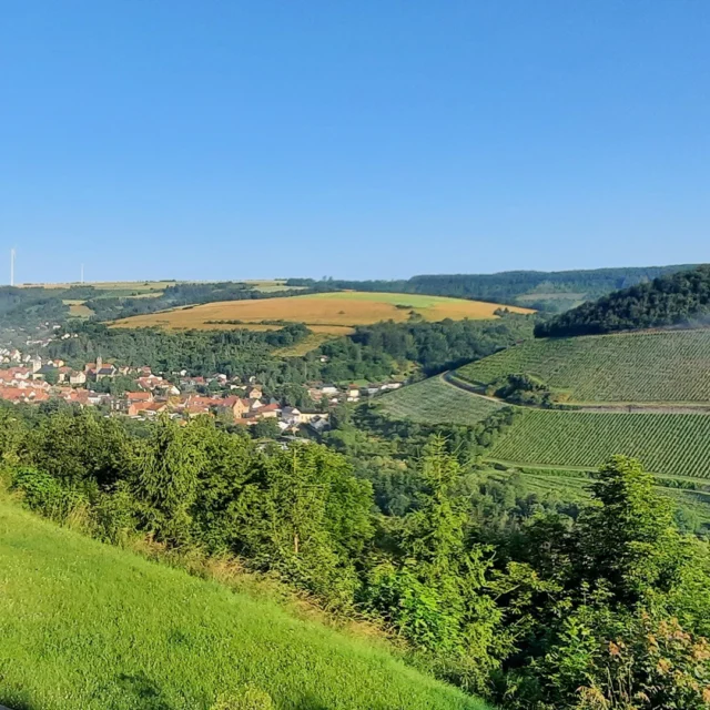 🏰🌿 Kleine Stadt, große Geschichte
Zwischen sanften Hügeln, Reben und Wäldern liegt Obermoschel, die kleinste Stadt der Nordpfalz – und ein echtes Kleinod. 🌸✨
Ihr historischer Stadtkern lädt zum Bummeln ein, während über ihr die Ruinen der einst mächtigen Moschellandsburg thronen – still, majestätisch und voller Geschichten.
Ein Ausflugsziel wie gemacht für Sommertage: Kultur, Natur und Weitblick vereint. 🌄💛
Vom Maison Fasson aus ist Obermoschel nur einen Sprung entfernt – perfekt für alle, die das Besondere lieben und gerne auf Entdeckungstour gehen. 🏡🍷
.
.
.
.
#MaisonFasson #Obermoschel #Moschellandsburg #NordpfalzEntdecken #Sommererinnerung #Pfalzliebe #FerienhausNordpfalz #MaisonFassonMomente #GeschichteErleben #WandernUndGenießen #Sommerglück #gruppenhaus #ferienwohnung #donnersberg #ruppertsecken #donnersbergkreis #vacation #travel #pfalz #wandern #vintage #nordpfalz #ferienwohnung #fewo #pfälzerhöhenweg #selbstversorgerhaus #donnersbergtouristikverband #donnersbergtouristik #donnersberger_land
