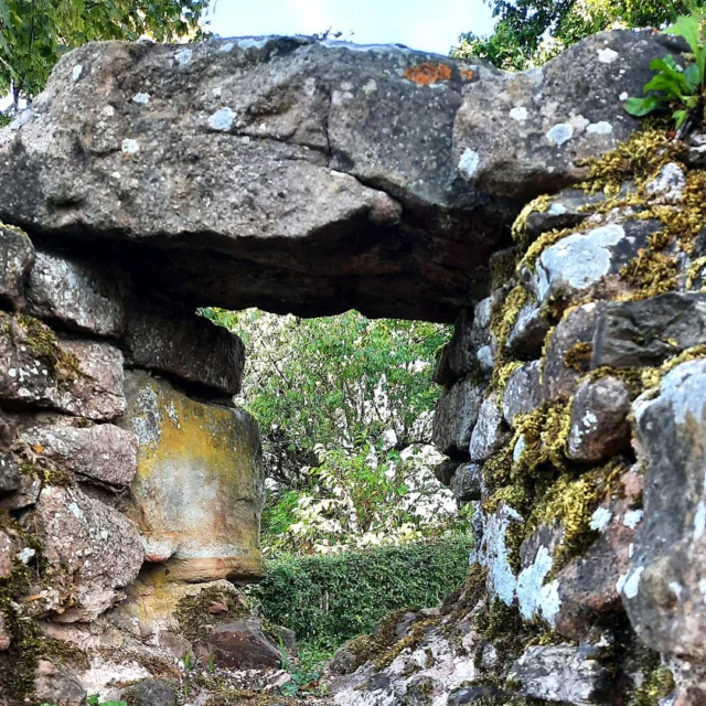 🏰 Geschichte spüren – ein Blick durch die Zeit

Zwischen alten Mauern wie dieser begann einst die Geschichte von Ruppertsecken – dem Zuhause des Maison Fasson. 🌿
Die Öffnung in der Burgmauer, vielleicht einst ein Fenster, wirkt heute wie ein Tor in die Vergangenheit. Wer hindurchblickt, sieht nicht nur das Dorf, sondern spürt auch den Geist vergangener Jahrhunderte. ✨

Genau solche Geschichten leben auch in unserer Bibliothek weiter – in Büchern über die Nordpfalz, das Mittelalter und die Menschen, die hier lebten. 📖🔥
Unsere Gäste können in diesen Geschichten versinken, während draußen die Burgreste vom Lauf der Zeit erzählen.

Ein Ort, an dem Vergangenheit lebendig bleibt – und jeder Besuch selbst Teil einer neuen Geschichte wird. 💚
.
.
.
.
#MaisonFasson #Ruppertsecken #GeschichteErleben #Nordpfalz #Bibliothek #BurgRupprechtseck #VintageCharme #UrlaubMitHerz #Zeitreise #gruppenhaus #ferienwohnung #donnersberg #ruppertsecken #donnersbergkreis #vacation #travel #pfalz #wandern #vintage #nordpfalz #ferienwohnung #fewo #pfälzerhöhenweg #selbstversorgerhaus #donnersbergtouristikverband #donnersbergtouristik #donnersberger_land