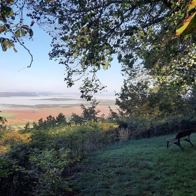 🌄 Ein Platz zum Durchatmen – Herbst in der Nordpfalz

Vom Schlossberg aus öffnet sich der Blick weit ins Nordpfälzer Land. Zwischen alten Bäumen leuchtet die Landschaft im goldenen Herbstlicht, sanfte Hügel verschwinden im Frühnebel, und auf der Bank im Vordergrund scheint ein Platz frei zu sein – vielleicht für dich? 🍁🌿

Hier spürt man, was das Maison Fasson ausmacht: Ruhe, Natur, Zeit füreinander.
Nach einem Spaziergang kehrt man gern zurück – ins warme Haus, zu Freunden, Familie, Geschichten und gemütlichen Abenden. 🏡✨

Wer hier einmal sitzt, weiß, warum man die Pfalz das Land des Lichts und der leisen Töne nennt. 💛

#MaisonFasson #NordpfalzErleben #Herbstzauber #MaisonFassonMomente #FerienhausNordpfalz #Pfalzliebe #RuheUndWeite #GemeinsamZeitVerbringen #SchlossbergRuppertsecken #Herbstlicht #gruppenhaus #ferienwohnung #donnersberg #ruppertsecken #donnersbergkreis #vacation #travel #pfalz #wandern #vintage #nordpfalz #ferienwohnung #fewo #pfälzerhöhenweg #selbstversorgerhaus #donnersbergtouristikverband #donnersbergtouristik #donnersberger_land