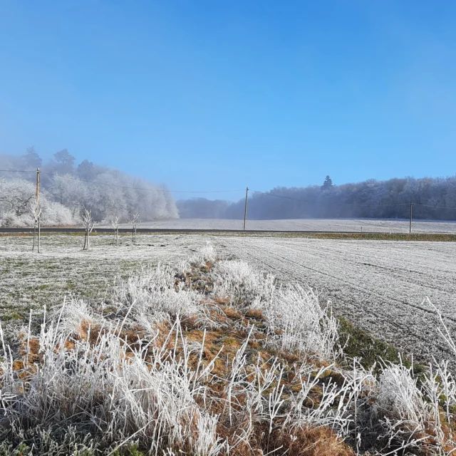 ❄️🌾 Wege in den Winter – Entdecken rund ums Maison Fasson

Ein Weg zieht sich durch die winterliche Landschaft, von Raureif überzogen und vom Licht des blauen Himmels umhüllt. ✨
Die Gräser glitzern wie Glas, die Wälder am Horizont tragen ein Kleid aus Eis – es ist still, nur der Schnee knirscht unter den Schuhen. 🌬️

Hier, rund um das Maison Fasson, führen viele Wege hinaus in die Weite der Nordpfalz – perfekt für alle, die im Winter die Natur lieben. Ob mit Familie, Freunden oder allein: jeder Schritt wird zur kleinen Entdeckung. 🚶‍♀️🌿

Und wenn die Kälte in den Wangen kribbelt, wartet das warme Maison Fasson schon – mit Kaminfeuer, Tee und Zeit füreinander. 🔥🏡💛

#MaisonFasson #Winterwandern #PfälzerHöhenweg #NordpfalzErleben #MaisonFassonMomente #Winterzauber #FerienhausNordpfalz #Pfalzliebe #NeugierigAufDenWinter #GemeinsamZeitVerbringen #gruppenhaus #ferienwohnung #donnersberg #ruppertsecken #donnersbergkreis #vacation #travel #pfalz #wandern #vintage #nordpfalz #ferienwohnung #fewo #pfälzerhöhenweg #selbstversorgerhaus #donnersbergtouristikverband #donnersbergtouristik #donnersberger_land