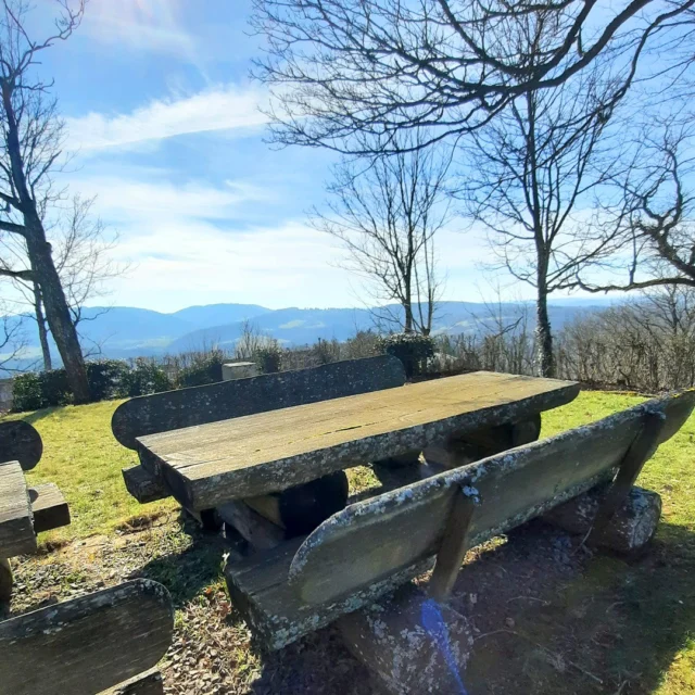 🌤️ Frühlingserwachen am Schlossberg – Wandern mit Aussicht

Die Sonne strahlt vom klaren blauen Himmel, und auf dem Schlossberg in Ruppertsecken erwacht die Natur langsam aus dem Winterschlaf. 🌿✨
Rund um den Picknickplatz, umgeben von noch kahlen Bäumen, liegt ein Hauch von Frühling in der Luft.

Zwei große Tische mit rustikalen Bänken aus alten Baumstämmen laden zum Verweilen ein – perfekt für eine Pause während einer Wanderung über den Schlossbergsteig, der hier vorbei führt.
Wer mag, entdeckt in der Nähe die Mauerreste und den alten Turm der ehemaligen Burg, die dem Berg ihren Namen gab. 🏰

Nur wenige Schritte entfernt liegt das Maison Fasson, idealer Ausgangspunkt für solche Wanderungen. 🏡
Hier starten Gäste in den Tag, packen ihren Rucksack, genießen die Pfälzer Sonne und kehren später erfüllt und glücklich zurück – vielleicht mit ein paar Fotos vom Schlossberg im Gepäck. 📸💛

#MaisonFasson #WandernInDerPfalz #NordpfalzErleben #PfälzerHöhenweg #MaisonFassonMomente #Ruppertsecken #Frühlingserwachen #FerienhausNordpfalz #UrlaubMitHerz #SchlossbergSteig #gruppenhaus #ferienwohnung #donnersberg #ruppertsecken #donnersbergkreis #vacation #travel #pfalz #wandern #vintage #nordpfalz #ferienwohnung #fewo #pfälzerhöhenweg #selbstversorgerhaus #donnersbergtouristikverband #donnersbergtouristik #donnersberger_land