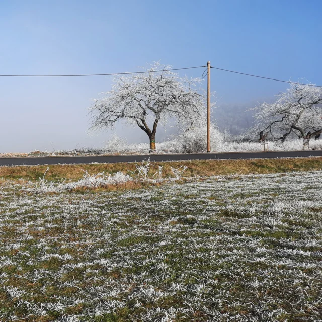❄️ Ein neues Jahr, neue Wege – Winterwanderung rund ums Maison Fasson

Das neue Jahr beginnt still. Über den Hügeln liegt feiner Raureif, die Sonne kämpft sich durch den Nebel und taucht die Nordpfalz in goldenes Licht. 🌅✨
Weite Höhen mit dem Blick in die Ferne oder schmale Wanderwege führen zwischen Sandsteinfelsen hindurch, an denen lange Eiszapfen glitzern – wie kleine Kunstwerke des Winters. Eine magische Welt.

Hier, rund um das Maison Fasson in Ruppertsecken, beginnt jede Wanderung mit einem tiefen Atemzug frischer Luft und der Gewissheit, dass Schönheit oft im Stillen liegt. 🌬️
Ob man nur einen kleinen Spaziergang unternimmt oder sich auf den Pfälzer Höhenweg wagt – jeder Schritt ist eine Einladung, die Natur neu zu entdecken. 🌿

Und wenn die Finger kalt und die Füße müde werden, wartet das Maison Fasson schon – warm, gemütlich und voller Geschichten. 🏡🔥

#MaisonFasson #Winterwandern #PfälzerHöhenweg #NordpfalzErleben #MaisonFassonMomente #FerienhausNordpfalz #Ruppertsecken #Winterzauber #UrlaubMitHerz #WandernInDerPfalz #gruppenhaus #ferienwohnung #donnersberg #ruppertsecken #donnersbergkreis #vacation #travel #pfalz #wandern #vintage #nordpfalz #ferienwohnung #fewo #pfälzerhöhenweg #selbstversorgerhaus #donnersbergtouristikverband #donnersbergtouristik #donnersberger_land