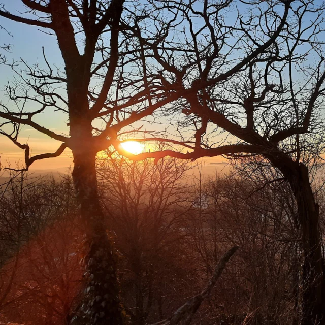 🌅❄️ Winterabend in der Nordpfalz – ein Moment der Stille

Zwischen den alten Bäumen glüht die Sonne ein letztes Mal auf, bevor sie hinter den Hügeln der Nordpfalz versinkt.
Das Licht taucht den Schnee in goldene und rosa Töne, und für einen Augenblick scheint die Welt stillzustehen. 🤍✨

Ein Wintertag geht zu Ende – friedlich, klar, vollkommen.
Solche Momente machen die Zeit im Maison Fasson so besonders: draußen Natur und Weite, drinnen Wärme, Lachen und das gute Gefühl, angekommen zu sein. 🏡💛

Vielleicht ein heißer Tee, ein Glas Wein, ein Gespräch am Kamin – und einfach den Tag dankbar ausklingen lassen.

#MaisonFasson #Winterzauber #MaisonFassonMomente #FerienhausNordpfalz #NordpfalzErleben #UrlaubMitHerz #Winterabend #Sonnenuntergang #Ruppertsecken #HausMitSeele #Winterruhe #gruppenhaus #ferienwohnung #donnersberg #ruppertsecken #donnersbergkreis #vacation #travel #pfalz #wandern #vintage #nordpfalz #ferienwohnung #fewo #pfälzerhöhenweg #selbstversorgerhaus #donnersbergtouristikverband #donnersbergtouristik #donnersberger_land