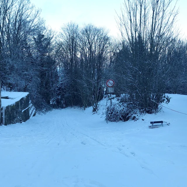 🎿❄️ Rodelspaß auf der „Kehr“ – Winterfreude rund ums Maison Fasson

Wenn in Ruppertsecken der Schnee fällt, verwandelt sich die „Kehr“ – ein steiler, sich windender Feldweg – in die wohl beliebteste Rodelbahn des Dorfes. ⛄💨
Kinder jubeln, Schlitten sausen den Hang hinunter, und auch die Erwachsenen lassen sich den Spaß nicht nehmen. 😄

Rechts und links säumen verschneite Bäume den Weg, die Luft ist klar, und über allem liegt dieses wunderbare Winterlicht. 🌿✨
Vom Maison Fasson aus ist es nur ein kurzer Spaziergang bis hierher – perfekt für kleine Abenteuer mit Freunden oder Familie.

Und nach der letzten Abfahrt?
Ab ins Warme, Kakao trinken, die Hände am Kamin wärmen und über die wildesten Rodelmanöver lachen. 🏡🔥💛

#MaisonFasson #Winterzauber #Rodelspaß #MaisonFassonMomente #NordpfalzErleben #FerienhausNordpfalz #UrlaubMitHerz #Ruppertsecken #Winterfreude #Schlittenfahren #HausMitSeele #gruppenhaus #ferienwohnung #donnersberg #ruppertsecken #donnersbergkreis #vacation #travel #pfalz #wandern #vintage #nordpfalz #ferienwohnung #fewo #pfälzerhöhenweg #selbstversorgerhaus #donnersbergtouristikverband #donnersbergtouristik #donnersberger_land