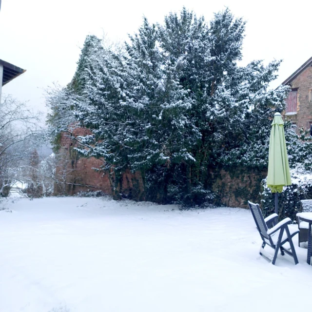 🌲❄️ Winterstille im Garten des Maison Fasson

Hinter dem Haus liegt der Garten – still, friedlich, ganz in Weiß getaucht. 🤍
Die alte Sandsteinmauer, die den Garten umschließt, trägt eine zarte Schneeschicht, und die mächtige Eibe steht da wie eine Hüterin der Zeit. 🌿✨

Hier scheint die Welt für einen Moment stillzustehen. Kein Laut, kein Wind – nur das sanfte Rieseln der Schneeflocken.
Ein Ort, an dem man einfach tief durchatmen und die Schönheit des Augenblicks spüren kann. 🕊️

Vom Maison Fasson aus blickt man auf dieses kleine Winterwunder – und es wird spürbar, warum Gäste diesen Ort so lieben:
Ruhe, Natur, Geborgenheit. 🏡💛

#MaisonFasson #Winterzauber #MaisonFassonMomente #FerienhausNordpfalz #NordpfalzErleben #UrlaubMitHerz #Winterstille #HausMitSeele #Ruppertsecken #Schneegarten #NaturUndRuhe #gruppenhaus #ferienwohnung #donnersberg #ruppertsecken #donnersbergkreis #vacation #travel #pfalz #wandern #vintage #nordpfalz #ferienwohnung #fewo #pfälzerhöhenweg #selbstversorgerhaus #donnersbergtouristikverband #donnersbergtouristik #donnersberger_land