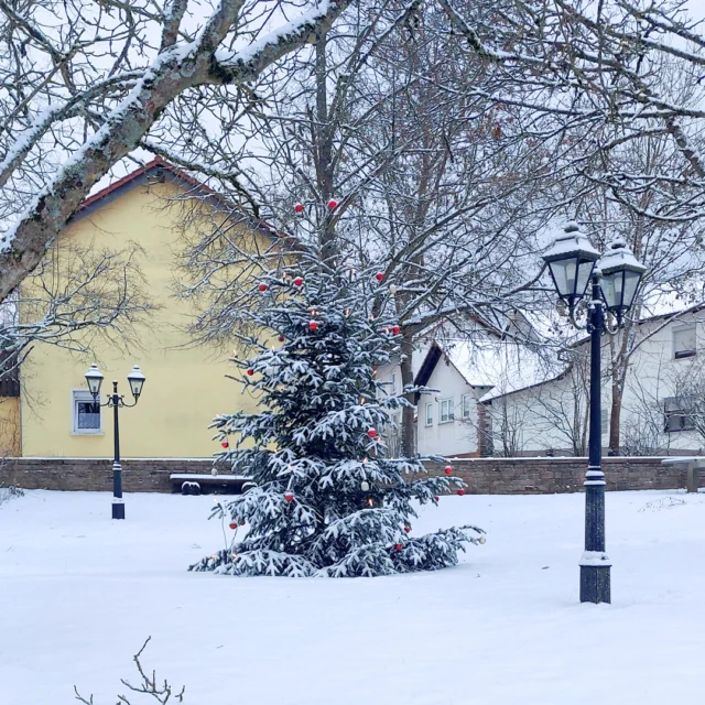 🎄❄️ Winterzauber im Dorf – Ruppertsecken im Lichterglanz

Vor dem Bürgerhaus leuchtet noch der große Weihnachtsbaum, geschmückt mit roten Kugeln und warmen Lichtern. 💫
Die alten Straßenlaternen werfen ihr sanftes Licht auf den verschneiten Platz, und das ganze Dorf wirkt, als hielte es für einen Moment den Atem an. 🤍

Hier schlägt das Herz von Ruppertsecken – ruhig, herzlich und voller Tradition.
Ein Ort, an dem Nachbarn sich grüßen, Kinder Spuren in den Schnee ziehen und die Zeit ein kleines Stück langsamer vergeht. 🌿✨

Nur wenige Schritte weiter liegt das Maison Fasson – warm, einladend und bereit für neue Gäste, die diese winterliche Idylle selbst erleben möchten. 🏡💛

#MaisonFasson #Winterzauber #Ruppertsecken #MaisonFassonMomente #FerienhausNordpfalz #NordpfalzErleben #UrlaubMitHerz #Weihnachtsstimmung #HausMitSeele #WinterimDorf #NordpfalzLiebe #gruppenhaus #ferienwohnung #donnersberg #ruppertsecken #donnersbergkreis #vacation #travel #pfalz #wandern #vintage #nordpfalz #ferienwohnung #fewo #pfälzerhöhenweg #selbstversorgerhaus #donnersbergtouristikverband #donnersbergtouristik #donnersberger_land