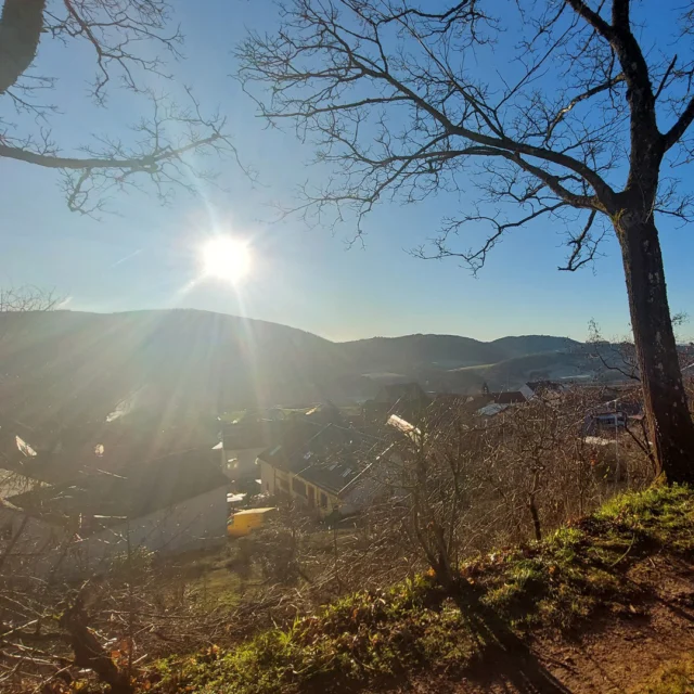 🌄☀️ Spätnachmittag in der Nordpfalz – Licht über Ruppertsecken

Die Sonne steht schon tief und taucht die Hügel rund um Ruppertsecken in warmes Licht. 💛
Von hier oben, auf dem Schlossberg, schweift der Blick weit – über das Dorf, den Donnersberg in der Ferne und die sanften Wege, die sich durch die Landschaft ziehen. 🌿✨

Es ist dieser Moment, an dem man stehen bleibt, tief durchatmet und die Stille genießt.
Nur das Rascheln der Zweige, das Zirpen eines Vogels und das goldene Licht, das alles einhüllt.

Dort unten, zwischen alten Mauern und verwinkelten Gassen, liegt das Maison Fasson – eingebettet in dieses Stück Nordpfalz, das so viel Ruhe und Schönheit ausstrahlt. 🏡🌸

Nach einer Wanderung oder einem Ausflug hierher fühlt man sich leicht – bereit für ein Glas Wein auf der Terrasse, Gespräche mit Freunden oder einfach einen entspannten Abend im Maison Fasson. 🍷✨

Mehr Infos & Buchungsmöglichkeiten: 👉 www.maison-fasson.de

#MaisonFasson #Frühlingserwachen #MaisonFassonMomente #FerienhausNordpfalz #NordpfalzErleben #UrlaubMitHerz #HausMitSeele #PfälzerHöhenweg #Ruppertsecken #Frühlingssonne #Donnersberg #Abendstimmung #gruppenhaus #ferienwohnung #donnersberg #ruppertsecken #donnersbergkreis #vacation #travel #pfalz #wandern #vintage #nordpfalz #ferienwohnung #fewo #pfälzerhöhenweg #selbstversorgerhaus #donnersbergtouristikverband #donnersbergtouristik #donnersberger_land