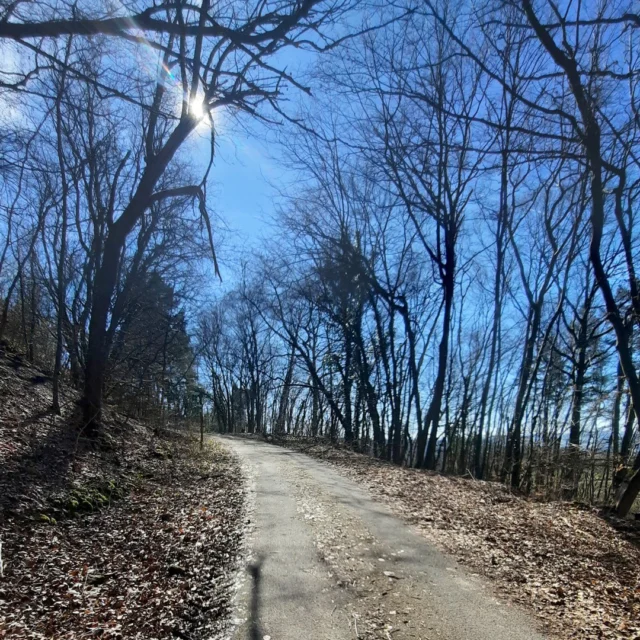 🌞🥾 Frühling rund "um´s Gebück" – unterwegs auf dem Pfälzer Höhenweg

Die Sonne strahlt, der Himmel leuchtet blau – und der Wanderweg „Um’s Gebück“ zeigt sich von seiner schönsten Seite. 🌿✨
Zwischen alten Trockenmauern, die mit weichem Moos überzogen sind, schlängelt sich der Pfad in sanften Serpentinen den Schlossberg hinauf.

Hier duftet es nach Erde, nach Holz, nach Frühling. ☀️
Die Bäume sind noch kahl, aber das Licht tanzt schon zwischen den Ästen, und man spürt: Es dauert nicht mehr lange, bis alles grün ist. 🌸

Ob mit Freunden oder der Familie – dieser Weg ist wie gemacht für die ersten warmen Tage.
Oben angekommen, blickt man über die Hügel der Nordpfalz – und irgendwo dort unten, zwischen Wiesen und alten Mauern, liegt das Maison Fasson. 🏡💛

Ein Ort, an den man nach einer solchen Wanderung gern zurückkehrt – für Tee, Sonne im Garten oder einfach einen Moment Glück.

Mehr Informationen zum Haus findest du auf 👉 www.maison-fasson.de

#MaisonFasson #Frühlingserwachen #PfälzerHöhenweg #MaisonFassonMomente #FerienhausNordpfalz #NordpfalzErleben #UrlaubMitHerz #HausMitSeele #Wanderlust #Ruppertsecken #Frühlingssonne #gruppenhaus #ferienwohnung #donnersberg #ruppertsecken #donnersbergkreis #vacation #travel #pfalz #wandern #vintage #nordpfalz #ferienwohnung #fewo #pfälzerhöhenweg #selbstversorgerhaus #donnersbergtouristikverband #donnersbergtouristik #donnersberger_land