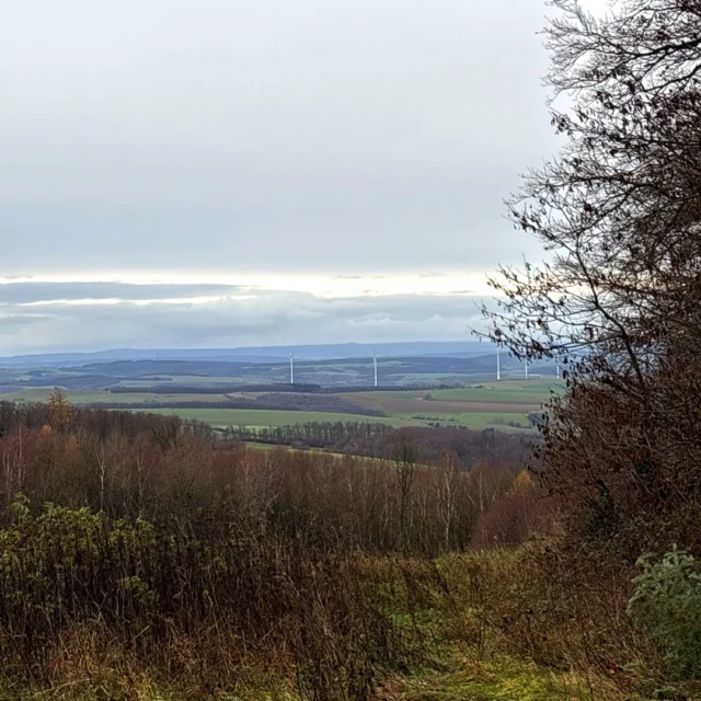 🌄🍃 Blicke in die Weite – kleine Wunder am Wegesrand

Manchmal genügt ein Schritt zur Seite, und plötzlich öffnet sich der Blick.
Zwischen den Bäumen liegt sie – die Nordpfalz, sanft, weit und ruhig. ✨

Die Wolken reißen auf und die Hügel leuchten in hellem Winterlicht – und für einen Moment wird alles ganz still. 🌿
Hier oben auf den Wegen rund um Ruppertsecken vergisst man die Zeit. Man schaut, atmet tief ein, und fühlt sich leicht.

Ob mit Freunden oder allein – solche Augenblicke sind das, was Wanderungen unvergesslich macht.
Und unten im Tal wartet das Maison Fasson, bereit für den gemütlichen Teil des Tages: Wärme, Lachen und vielleicht ein Glas Wein am Kamin. 🏡🍷💛

Mehr Infos & Buchung unter 👉 www.maison-fasson.de

#MaisonFasson #MaisonFassonMomente #FerienhausNordpfalz #NordpfalzErleben #UrlaubMitHerz #HausMitSeele #PfälzerHöhenweg #Ruppertsecken #Wanderlust #FrischeLuft #Wintersonne #NaturGenießen #gruppenhaus #ferienwohnung #donnersberg #ruppertsecken #donnersbergkreis #vacation #travel #pfalz #wandern #vintage #nordpfalz #ferienwohnung #fewo #pfälzerhöhenweg #selbstversorgerhaus #donnersbergtouristikverband #donnersbergtouristik #donnersberger_land