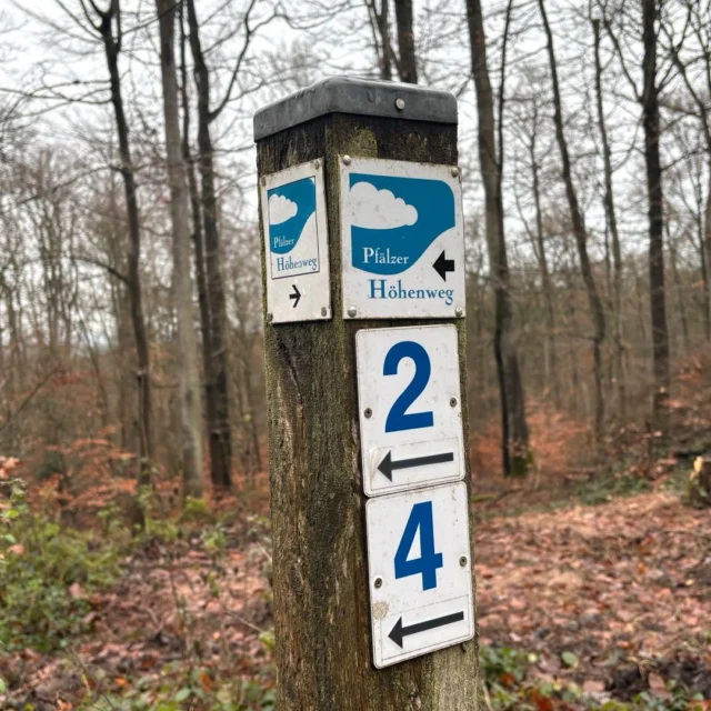🪵🌿 Wegweiser ins Glück – unterwegs rund ums Maison Fasson

Manche Wege beginnen ganz leise – mit einem kleinen Schild am Baum, einem Pfosten im Gras oder einer Markierung im Moos. ✨
Hier rund um Ruppertsecken zeigen viele solcher Wegweiser den Weg durch Wälder, Felder und sanfte Hügel.

Ob gemalt, genagelt oder aufgestellt – sie alle führen zum gleichen Ziel: zurück ins Maison Fasson. 🏡💛
Dorthin, wo der Kaffee duftet, wo Freunde zusammen sitzen, wo man die Schuhe auszieht und einfach durchatmet.

Jeder Schritt draußen wird so zum Teil eines kleinen Abenteuers – und am Ende wartet genau das, was man sich nach einem Wandertag wünscht: Wärme, Lachen und ein Zuhause auf Zeit. 🌸

Mehr Infos & Buchungsmöglichkeiten findest du unter 👉 www.maison-fasson.de

#MaisonFasson #MaisonFassonMomente #FerienhausNordpfalz #NordpfalzErleben #UrlaubMitHerz #HausMitSeele #PfälzerHöhenweg #Wanderlust #Ruppertsecken #WegweiserZumGlück #WandernUndWohlfühlen #gruppenhaus #ferienwohnung #donnersberg #ruppertsecken #donnersbergkreis #vacation #travel #pfalz #wandern #vintage #nordpfalz #ferienwohnung #fewo #pfälzerhöhenweg #selbstversorgerhaus #donnersbergtouristikverband #donnersbergtouristik #donnersberger_land