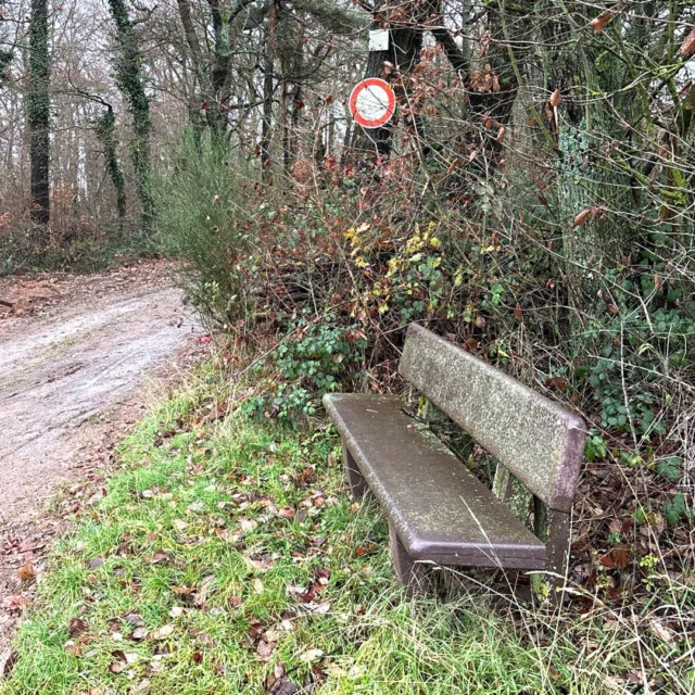 🌿☀️ Ein Platz zum Durchatmen – stille Momente am Wegesrand

Manchmal braucht es nicht viel: eine Bank, ein bisschen Sonne und den Duft des Waldes in der Luft. 🍃✨
Hier kann man sitzen, die Gedanken schweifen lassen, den Blick über die Landschaft streifen – und einfach spüren, wie gut Ruhe tut.

Die Wanderwege rund um Ruppertsecken sind voll solcher kleinen Lieblingsplätze. Orte, an denen man innehält, lacht, träumt oder einfach kurz verschnauft, bevor der Weg weiterführt. 💛

Und wer nach der Pause wieder ins Maison Fasson zurückkehrt, bringt genau das mit, was Urlaub hier so besonders macht: Leichtigkeit, Stille und ein kleines Lächeln. 🏡🌸

Mehr Infos & Buchung unter 👉 www.maison-fasson.de

#MaisonFasson #MaisonFassonMomente #FerienhausNordpfalz #NordpfalzErleben #UrlaubMitHerz #HausMitSeele #Wanderlust #Ruppertsecken #PfälzerHöhenweg #NaturUndRuhe #Frühlingsgefühle #Auszeit #gruppenhaus #ferienwohnung #donnersberg #ruppertsecken #donnersbergkreis #vacation #travel #pfalz #wandern #vintage #nordpfalz #ferienwohnung #fewo #pfälzerhöhenweg #selbstversorgerhaus #donnersbergtouristikverband #donnersbergtouristik #donnersberger_land