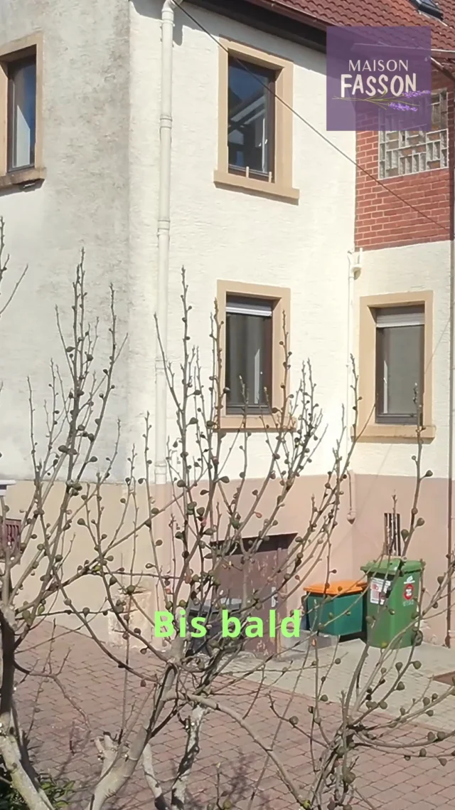 Maisso Fasson - Ein Ort mit Seele. 🕊️
Wo jedes Detail willkommen heißt, bevor du überhaupt eingetreten bist.
Maison Fasson – mehr als ein Haus. Ein Zuhause auf Zeit, mitten in der Nordpfalz. 🏡✨

#MaisonFasson #AnkommenUndWohlfühlen #Nordpfalz #UrlaubMitHerz #GemeinschaftErleben #Pfalzliebe #FerienhausMitCharme #AuszeitInDerNatur #UrlaubInDerPfalz #ZuhauseAufZeit #woerinnerungenentstehen 
Musik: benosound