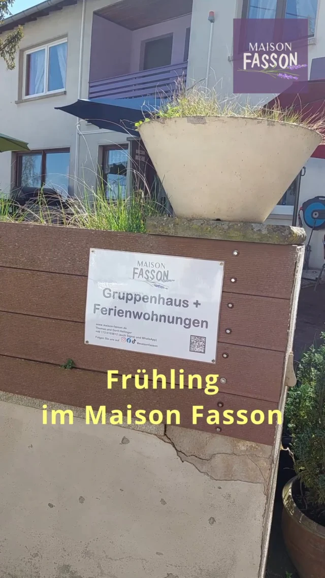 Ein Moment zum Innehalten. 🌿☀️
Der Blick schweift durch den Hof des Maison Fasson – Sonnenlicht, erste Blüten und ein Ort, der langsam aus dem Winter erwacht.

Hier beginnt der Frühling mit Ruhe, Licht und ganz viel Vorfreude auf gemeinsame Tage. 🌸🏡

#MaisonFasson #FrühlingImMaisonFasson #Nordpfalz #Pfalzliebe #Hofleben #Frühlingssonne #AuszeitInDerNatur #UrlaubMitFreunden #Familienurlaub #FerienhausMitCharme #ZuhauseAufZeit #FrühlingErleben 🌿🌸
Musik: Bensound