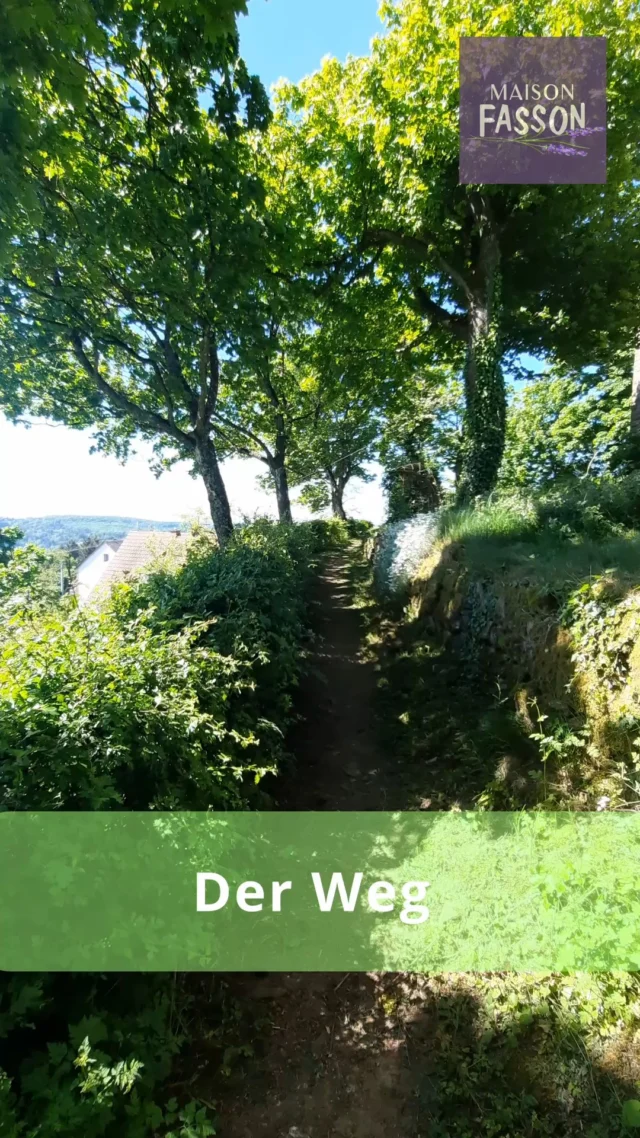 Nur ein kurzer Spaziergang vom Maison Fasson – und schon öffnet sich der Blick über das Nordpfälzer Bergland. 🌿☀️
Bäume und Büsche leuchten im satten Grün, ein leichter Wind weht und die Sonne wärmt die Landschaft.

Oben auf dem Schlossberg wartet ein wunderbarer Picknickplatz mit Tischen und Bänken – perfekt für eine kleine Pause mit Aussicht. 🧺✨
Ein Ort, an dem der Sommer besonders schön ist.

Das Maison Fasson mit Gruppenhaus und Ferienwohnungen kann gebucht werden.
Mehr Infos: www.maison-fasson.de

#MaisonFasson #Nordpfalz #Schlossberg #Ruppertsecken #Pfalzliebe #SommerInDerPfalz #NaturGenießen #Picknickplatz #AuszeitInDerNatur #UrlaubMitFreunden #Familienurlaub #FerienhausMitCharme 🌿☀️🧺🏡
Musik: Bensound