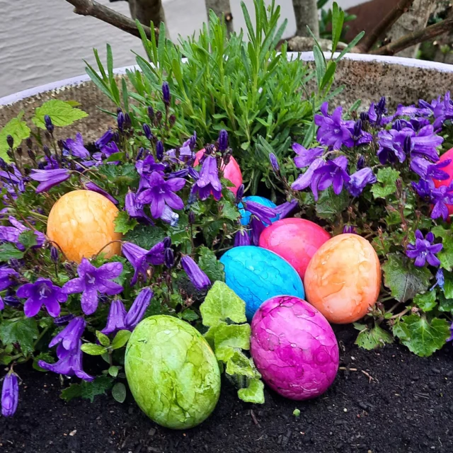 Manchmal sind es die ersten kleinen Zeichen, die verraten: Der Frühling ist da. 🌸✨

Zarte Blüten öffnen sich, frisches Grün schiebt sich ans Licht – und plötzlich liegt dieses besondere Gefühl in der Luft, das nach Neuanfang, Leichtigkeit und kleinen Glücksmomenten duftet.

Im Maison Fasson zieht der Frühling ganz leise ein.
In einer Pflanzschale, liebevoll dekoriert mit bunten Frühlingsblumen und kleinen Ostereiern, entsteht genau diese Stimmung, die man sofort spürt: freundlich, warm und einladend. 🌿🥚

Es sind diese Details, die den Alltag ein kleines bisschen heller machen.
Ein Blick darauf – und man möchte sich am liebsten dazusetzen, einen Kaffee in der Hand, die Sonne im Gesicht und einfach den Moment genießen.

Gerade jetzt ist die perfekte Zeit für eine Auszeit:
durch die erwachende Natur der Nordpfalz streifen, die ersten warmen Sonnenstrahlen genießen und anschließend ins Maison Fasson zurückkehren – in ein Zuhause auf Zeit, das den Frühling genauso liebt wie ihr. 🏡✨

Das Maison Fasson ist geöffnet und kann gebucht werden – vielleicht genau für eure kleine Frühlingsflucht. 🌸

Mehr Infos auf www.maison-fasson.de

#MaisonFasson #MaisonFassonMomente #FrühlingImMaisonFasson #Frühlingsgefühle #Osterdeko #HausMitSeele #VintageCharme #FerienhausNordpfalz #Ruppertsecken #UrlaubMitHerz #ZuhauseAufZeit #Auszeit #Frühling