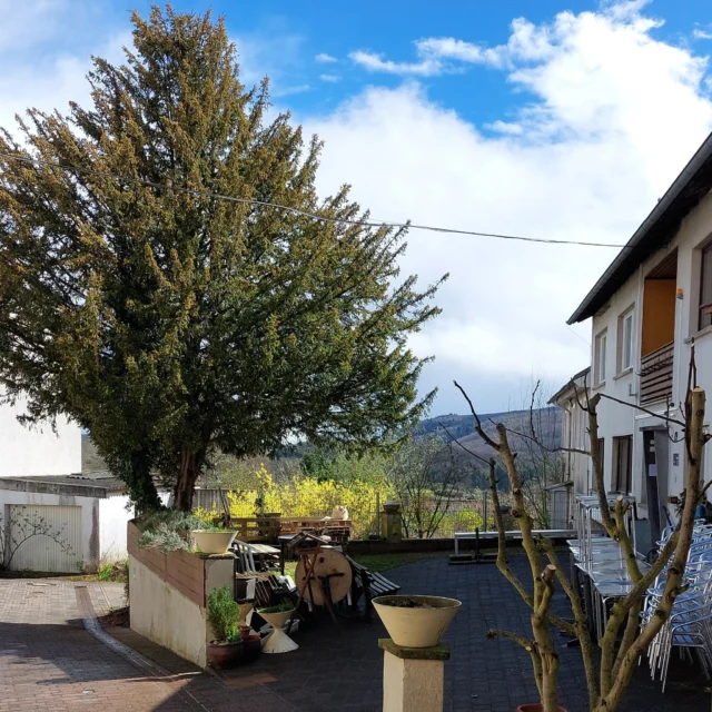 Und dann ist er da – dieser Moment, der alles zusammenbringt. 🌿☀️

Ein letzter Blick in den Hof des Maison Fasson.
Die Tische und Stühle stehen bereit, als würden sie nur darauf warten, dass sich das Leben wieder um sie versammelt.
Die Sonne wärmt die ersten Plätze, während große weiße Wolken langsam über den Himmel ziehen.

In der Ferne erhebt sich der Donnersberg – ruhig, kraftvoll und immer da.
Ein stiller Begleiter, der diesen Ort noch ein bisschen besonderer macht. ⛰️

Hier spürt man den Frühling in seiner schönsten Form:
Leichtigkeit, Weite und dieses Gefühl, einfach draußen sein zu wollen.
Ein Platz für lange Gespräche, gemeinsames Lachen, ein Glas Wein am Abend oder den ersten Kaffee am Morgen in der Sonne.

Genau so fühlt sich das Maison Fasson an:
ein Zuhause auf Zeit, ein Ort zum Ankommen, Durchatmen und Bleiben. 🏡✨

Der Frühling ist da – und das Maison Fasson ist bereit für seine Gäste.
Vielleicht beginnt eure nächste Auszeit genau hier, mit diesem Blick, diesem Licht und diesem Gefühl.

Mehr Infos auf www.maison-fasson.de

#MaisonFasson #MaisonFassonMomente #FrühlingImMaisonFasson #Innenhof #Donnersberg #Sonnenmomente #HausMitSeele #VintageCharme #FerienhausNordpfalz #Ruppertsecken #UrlaubMitHerz #ZuhauseAufZeit #Auszeit #Frühling