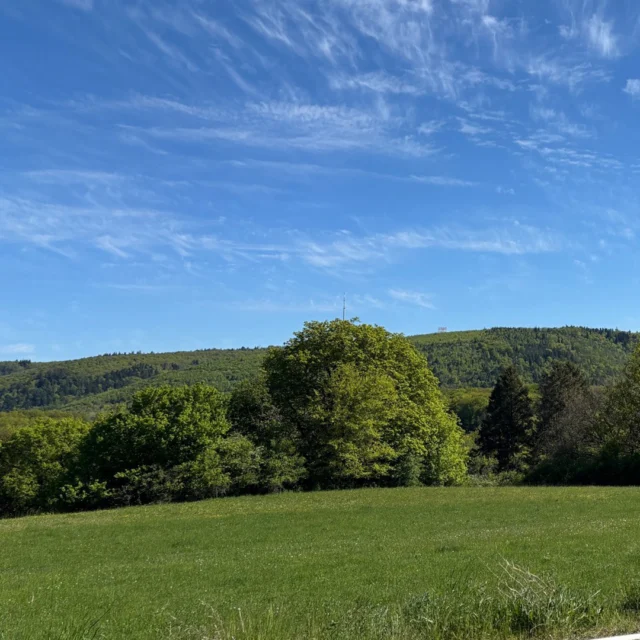 Immer mit Blick auf den Donnersberg.

Der Weg führt dich durch die Natur – die Sonne im Gesicht, der Himmel weit und klar.
Und irgendwo da draußen: dieses Gefühl von Freiheit, das man viel zu selten hat.

Rund ums Maison Fasson begleiten dich solche Ausblicke auf Schritt und Tritt.
Kurze Touren, große Wirkung – direkt vor der Haustür.

→ Starte deine Wander-Auszeit bei uns. Jetzt Verfügbarkeit prüfen – Link in Bio.

#maisonfasson #donnersberg #pfalz #pfälzerwald #wandernindeutschland #wanderpfalz #auszeit #naturgenießen #ferienwohnungpfalz #urlaubpfalz #kurzurlaubdeutschland #landliebe #hikinggermany #wanderlustdeutschland #pfälzerhöhenweg #naturpur #entschleunigung #visitpfalz #rausinsgrüne #urlaubindeutschland