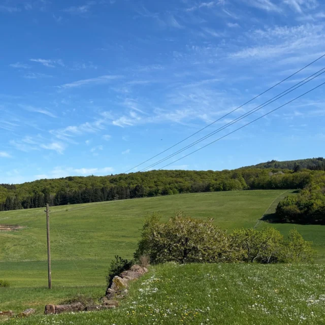 Weite, Sonne, ein stilles Tal.

Genau hier führen dich die Wege rund ums Maison Fasson.

Perfekt für 1,5 bis 3 Stunden draußen – oder länger, wenn du dem Pfälzer Höhenweg folgst.

→ Jetzt Verfügbarkeit prüfen & loswandern.

#pfalz #pfälzerwald #wanderlustdeutschland #wandernindeutschland #kurzurlaub #auszeit #naturgenießen #frühlingserwachen #wanderwege #fernwanderweg #pfälzerhöhenweg #urlaubindeutschland #landliebe #naturpur #entschleunigung #weekendgetaway #hiddengermany #reisenindeutschland #ferienwohnung #urlaubaufdemland
