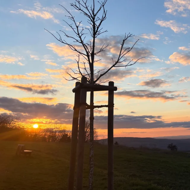 Weite, soweit das Auge reicht.

Die Nordpfalz im Abendlicht – ruhig, klar, fast endlos.
Genau hier wird aus einem Tag draußen ein Gefühl, das bleibt.

Rund ums Maison Fasson findest du diese Orte direkt vor der Tür.
Loslaufen, durchatmen, ankommen.

Und morgen einfach wieder.

→ Sichere dir deine Auszeit in der Nordpfalz. Jetzt buchen – Link in Bio.

#maisonfasson #nordpfalz #pfalz #pfälzerwald #donnersberg #sonnenuntergang #landschaftsliebe #weite #auszeit #naturgenießen #entschleunigung #wanderpfalz #wanderlustdeutschland #urlaubpfalz #ferienwohnungpfalz #kurzurlaubdeutschland #visitpfalz #hikinggermany #rausinsgrüne #urlaubindeutschland