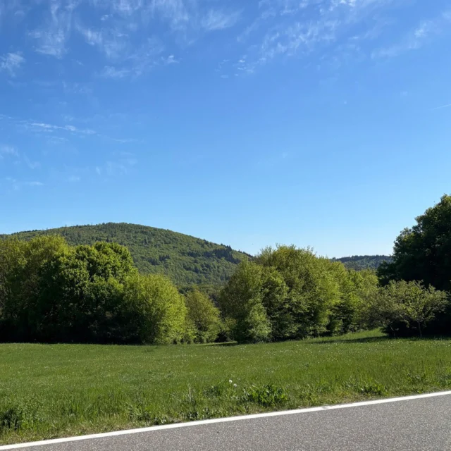 Der Donnersberg immer im Blick.

Und du mittendrin – auf einem der Wege rund ums Maison Fasson.

Perfekt für eine Auszeit, die direkt vor der Tür beginnt.

→ Jetzt buchen & loslaufen.

#maisonfasson #donnersberg #pfalz #pfälzerwald #wandernindeutschland #wanderpfalz #auszeit #naturgenießen #ferienwohnungpfalz #urlaubpfalz #kurzurlaubdeutschland #landliebe #hikinggermany #wanderlustdeutschland #pfälzerhöhenweg #naturpur #entschleunigung #visitpfalz #rausinsgrüne #urlaubindeutschland