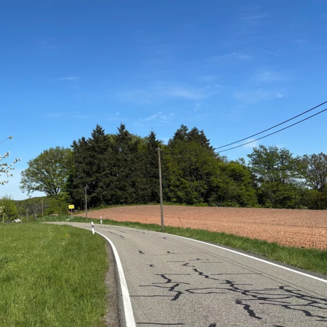 Frühling auf dem ersten Schritt.

Blühende Apfelbäume, ein schmaler Weg – und plötzlich bist du draußen.

Rund ums Maison Fasson warten Wanderwege, die genau richtig sind für eine kleine Auszeit zwischendurch.

→ Jetzt Aufenthalt planen & loslaufen.

#pfalz #pfälzerwald #wandern #wanderpause #auszeit #naturgenießen #ruhefinden #entschleunigung #landliebe #naturmomente #wanderwege #hikinggermany #timeout #frühling #urlaubindeutschland #kurzurlaub #ferienwohnung #digitaldetox #einfachsein #rausinsgrüne