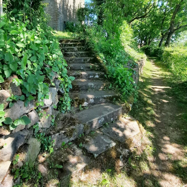 Ganz oben auf dem Schlossberg wird es plötzlich weit und still. 🌿

Alte Treppen führen hinauf zu einem Plateau,
auf dem große Tische und Bänke stehen —
als würden sie schon lange auf müde Wanderer warten.

Ein Platz für eine kleine Pause,
für Brot, Gespräche und diesen besonderen Blick
über die sommerliche Nordpfalz. ✨

Rund um das Maison Fasson findet man genau solche Orte,
an denen man einfach bleiben möchte. 🏡

www.maison-fasson.de

#maisonfasson #zuhauseaufzeit #nordpfalz #donnersberg
#wanderwege #natururlaub #ruhefinden #ankommen #landliebe
#sommermomente #pfalzliebe #auszeit #wohlfühlen #gemeinsamzeit
#picknickplatz #romantischeorte #entschleunigung #wanderlust