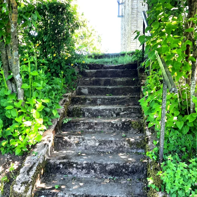 Zwischen alten Bäumen und warmem Sommerlicht
führt eine kleine Treppe hinauf zur „Langen Bank“. 🌿

Dort oben sitzt man still,
schaut hinaus ins Grüne
und entdeckt plötzlich die kleinen bunten Holzkugeln,
die jemand liebevoll hinterlassen hat.

Fast so, als würde der Ort leise Geschichten erzählen. ✨

Genau solche kleinen Details machen die Zeit rund um das Maison Fasson besonders.
Ein Zuhause auf Zeit. 🏡

www.maison-fasson.de

#maisonfasson #zuhauseaufzeit #nordpfalz #donnersberg
#sommermomente #ruhefinden #ankommen #natururlaub #landliebe
#pfalzliebe #wanderwege #kleinedetails #romantischeorte
#auszeit #wohlfühlen #gemeinsamzeit #entschleunigung #sommerlicht